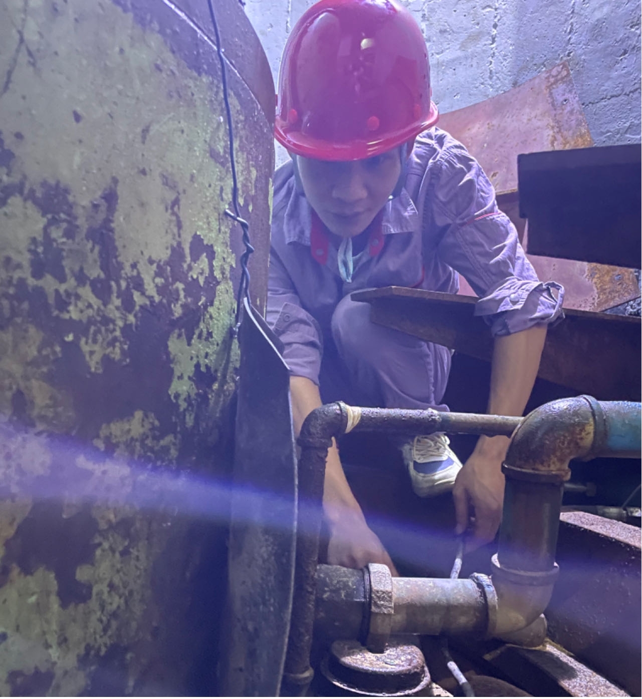 lewin乐玩官网-不凡成就非凡,相信品牌力量